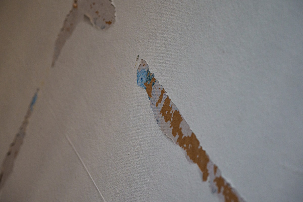 Structural Drying service in Queens, NY